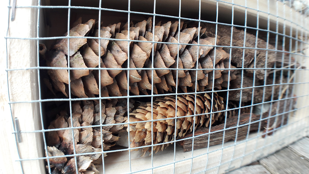 Insect Hotel First Floor Close Up